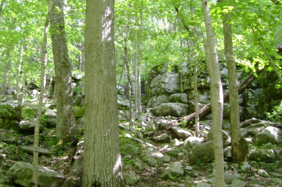 April Stidham's album, Lake Guntersville-April 2011