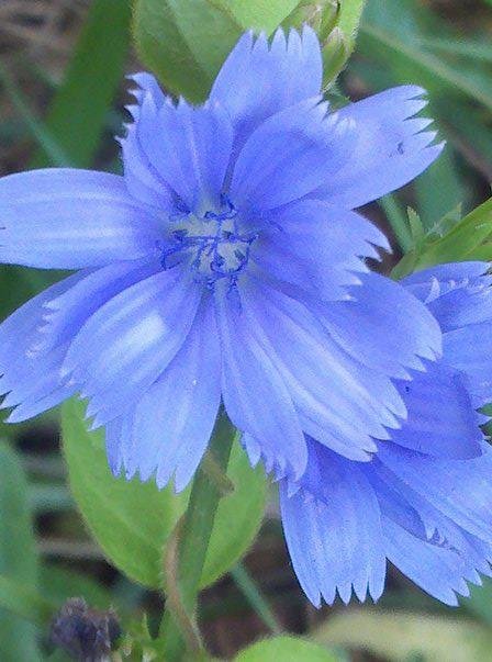 Ann Young's album, Mobile Uploads