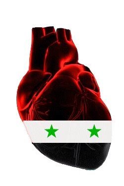 Rawan Halawi's album, Timeline Photos