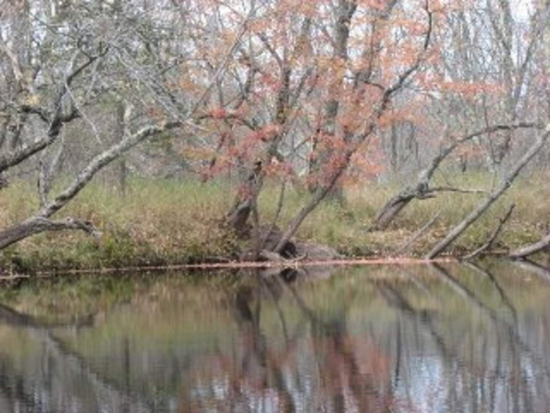 Robin Ellison's album, Raquette river trip