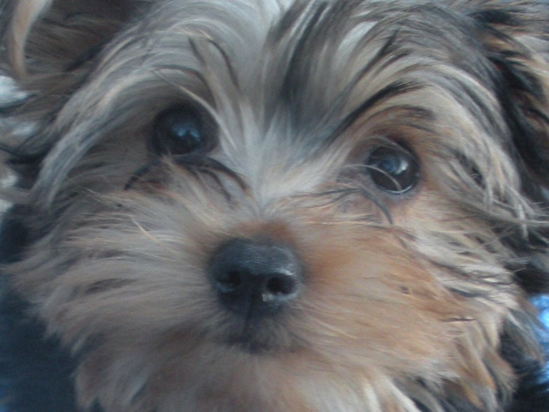 Cindy Long's album, Profile Pictures
