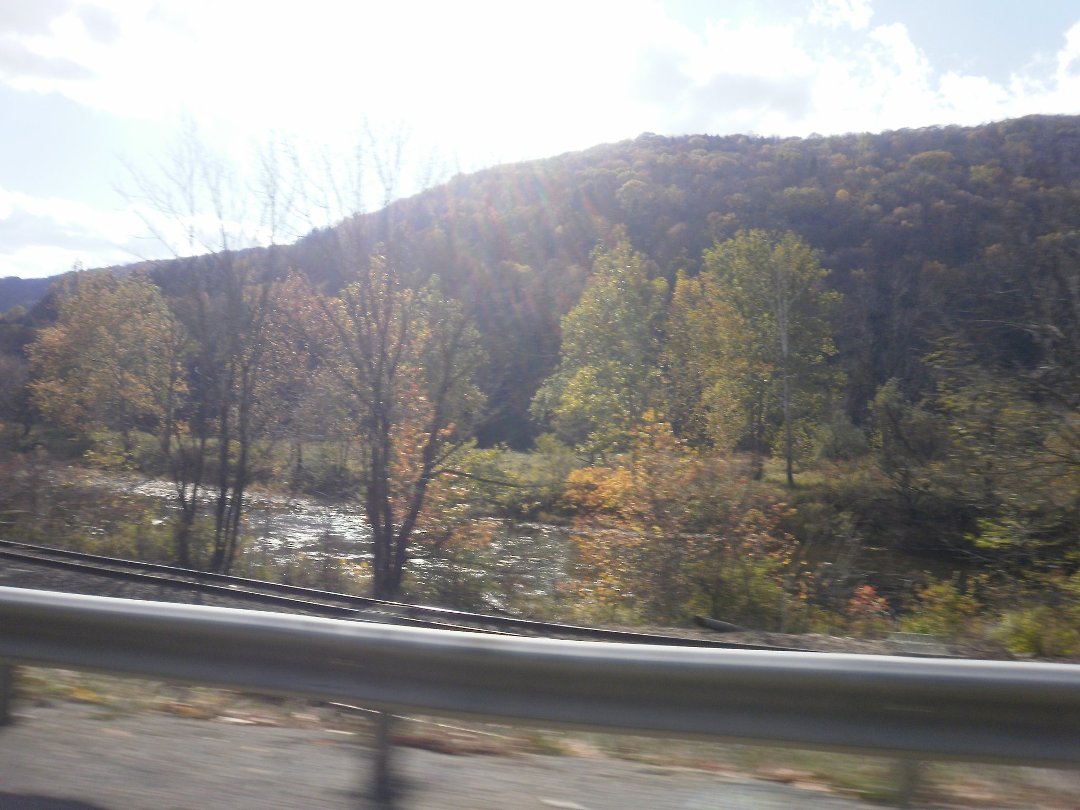Laura Vickers' album, Potter Fall 2010