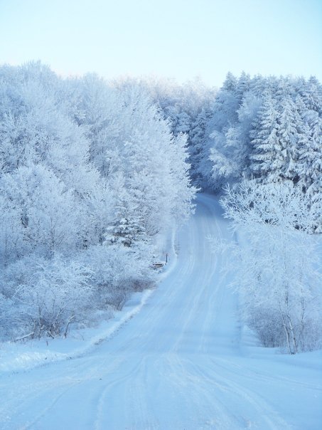 Kathryn Pfendler's album, Snow Day