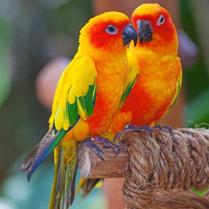 Gail Glassman's album, Puzzled Hearts Photos