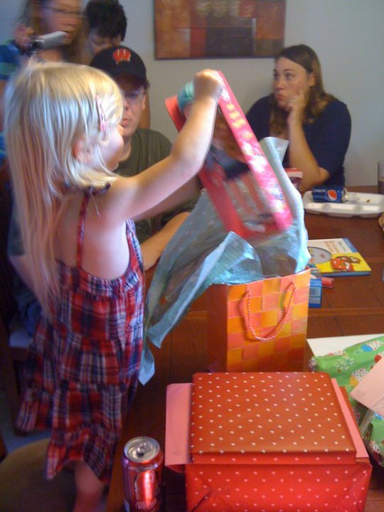 Steve Braune's album, Danielles 4th Birthday