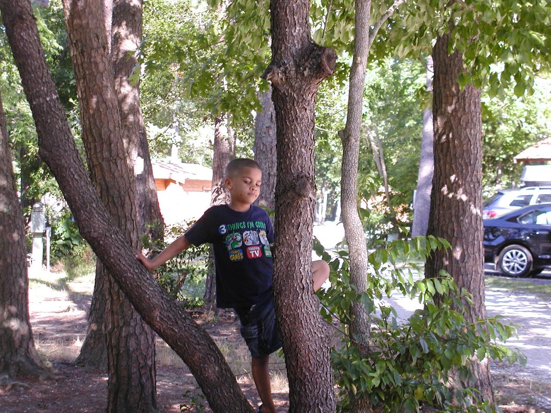 daniel dixon's album, Ponderosa Campground/Cape May Zoo