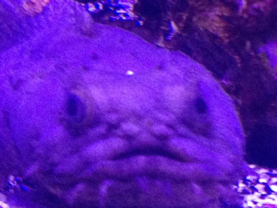 John Bueter's album, iOS Photos