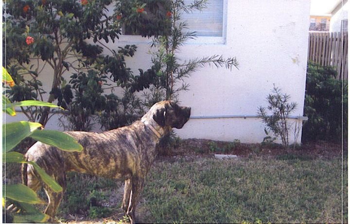 Fank Digilio's album, August 23, 2011
