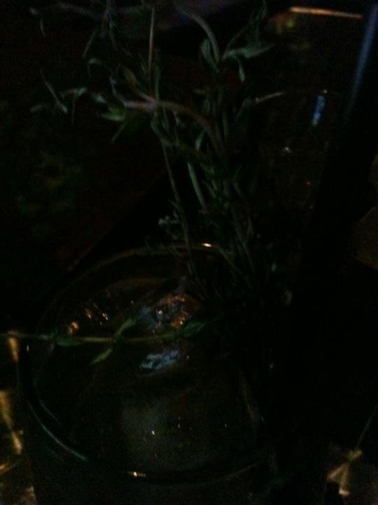 Jen O'Connor's album, foursquare Photos