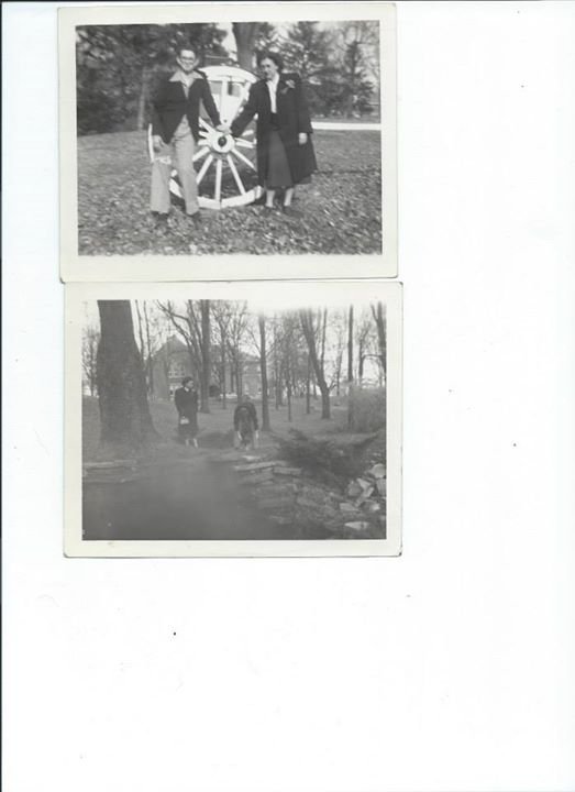 Ron Alexander's album, Roger L. Alexander