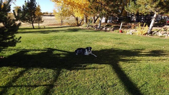 Deborah Horn's album, Cover Photos