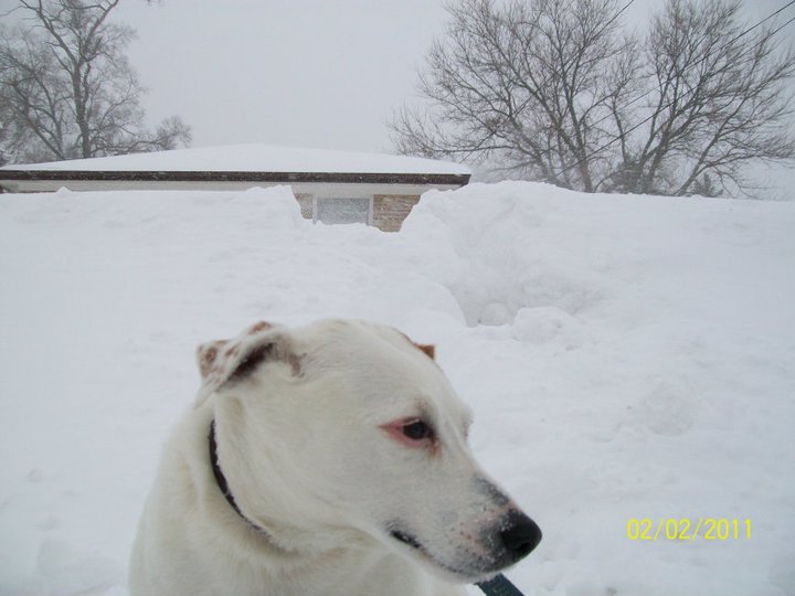 Michael McKellar's album, February 2, 2011