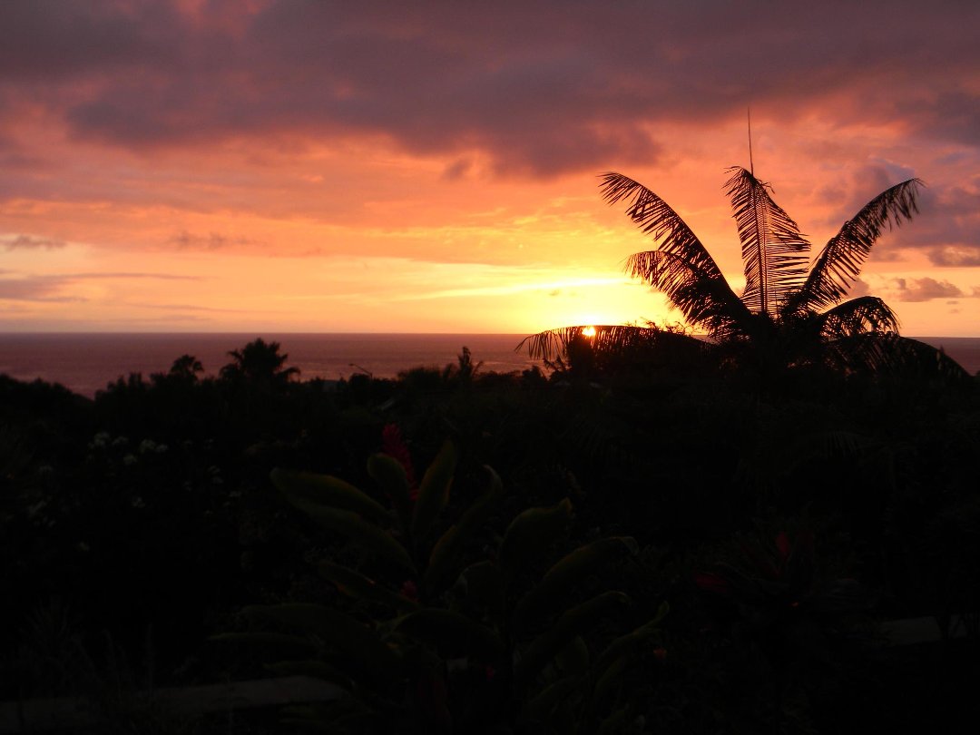Nancy Schmitz's album, Cover Photos