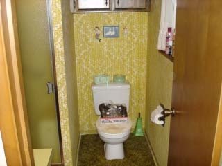 Susan Harter's album, Bathroom before and after
