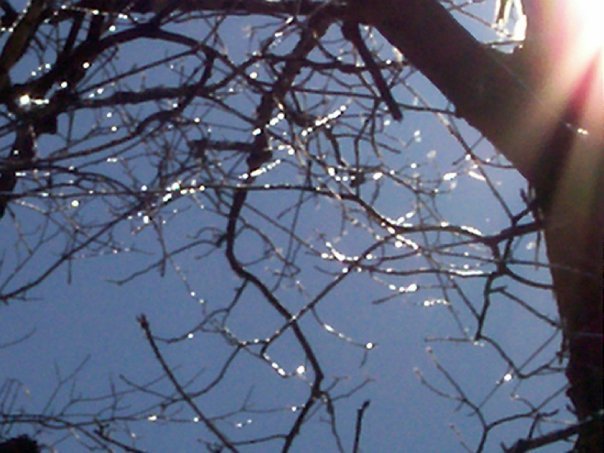 Mark Cagle's album, 2010 winter
