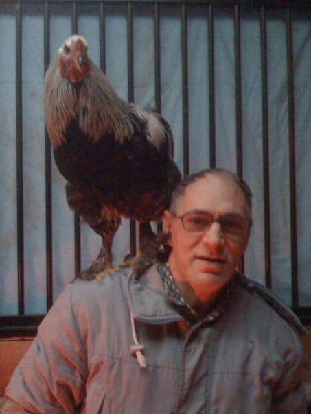 Christopher Fitzpatrick's album, Profile Pictures