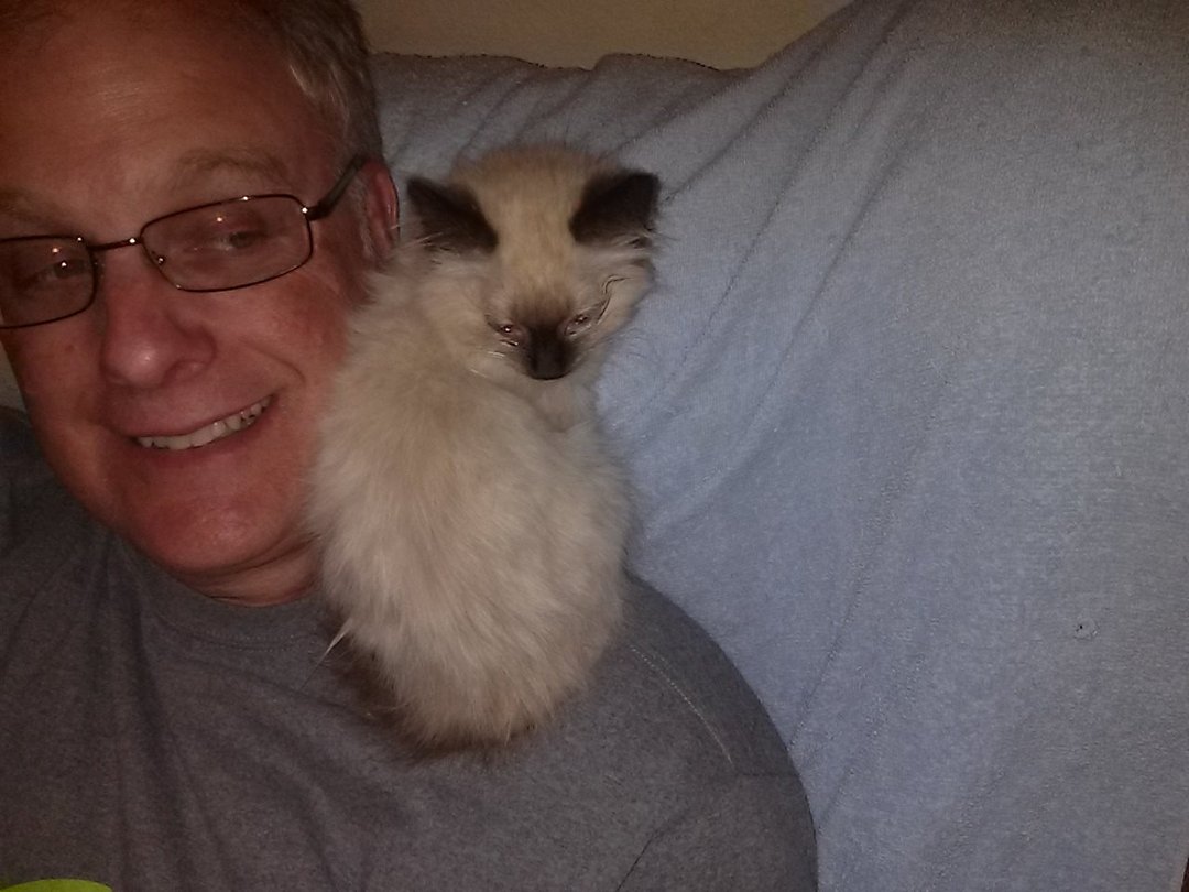 Robert Anthony's album, Mobile Uploads