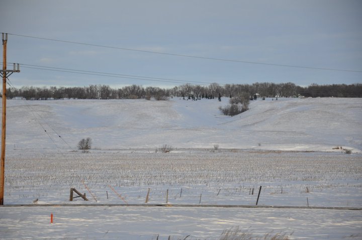 Edward Asbert's album, Cananda trip January , 2011