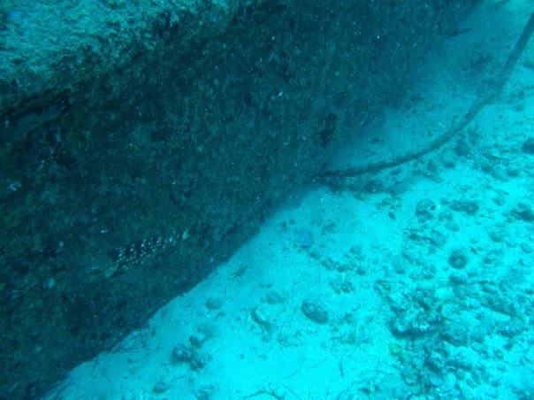 Steven Clem's album, St Maarten Diving