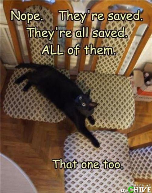 Molly Baker's album, Timeline Photos
