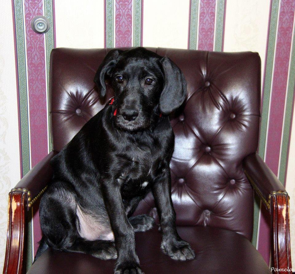 Lori Smith's album, Profile Pictures