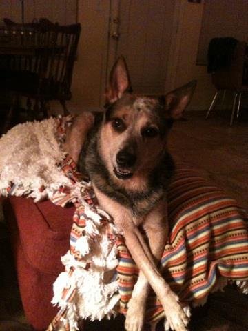 Cindy Johnson's album, iOS Photos