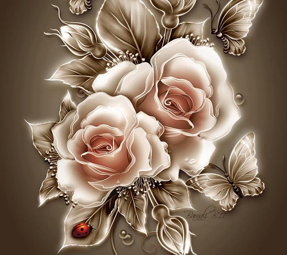 Terry Rose's album, Cover Photos