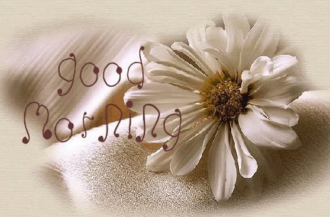 Karin Brown's album, Timeline Photos