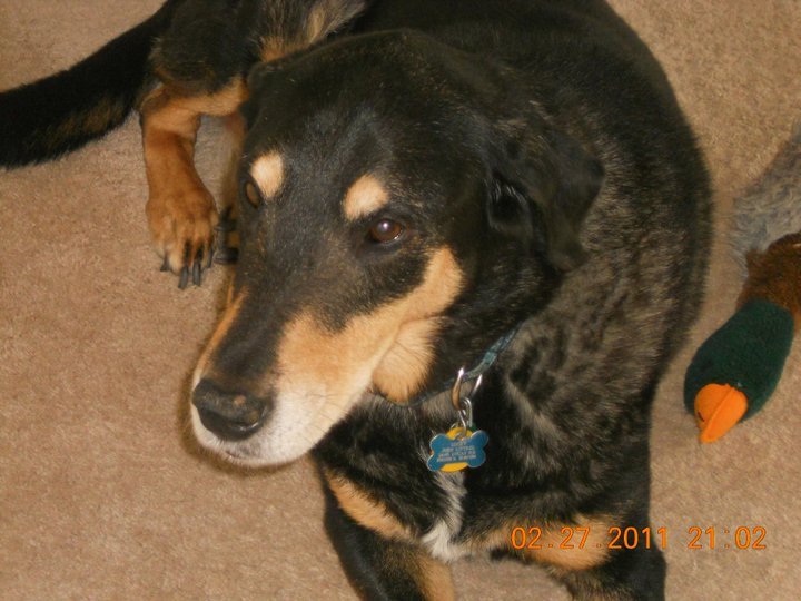 Diane Littrel's album, March 17, 2011