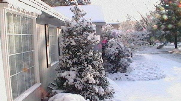 Tom Brewer's album, 2-13-10 Snow