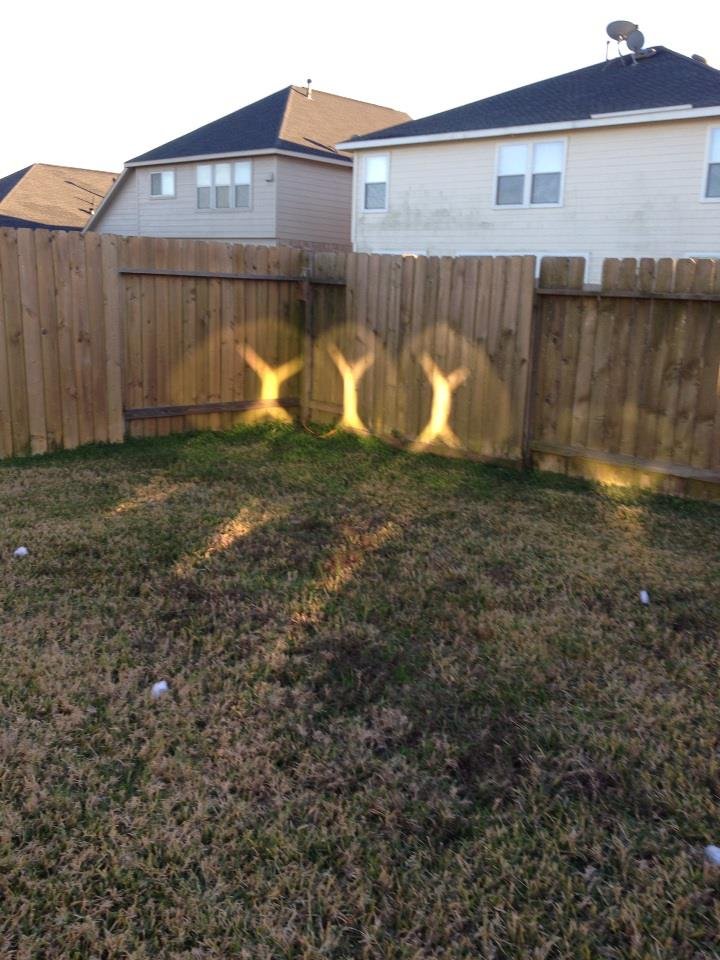 Charlie Haynes' album, iOS Photos
