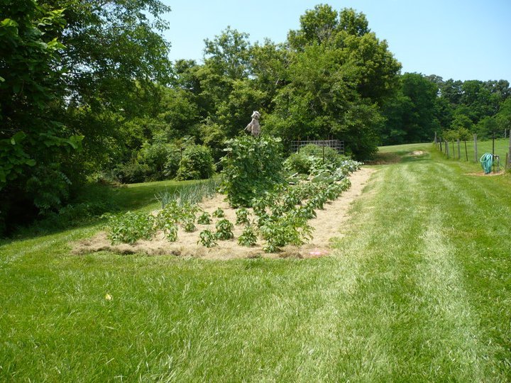 Vern Barry's album, July 2, 2011
