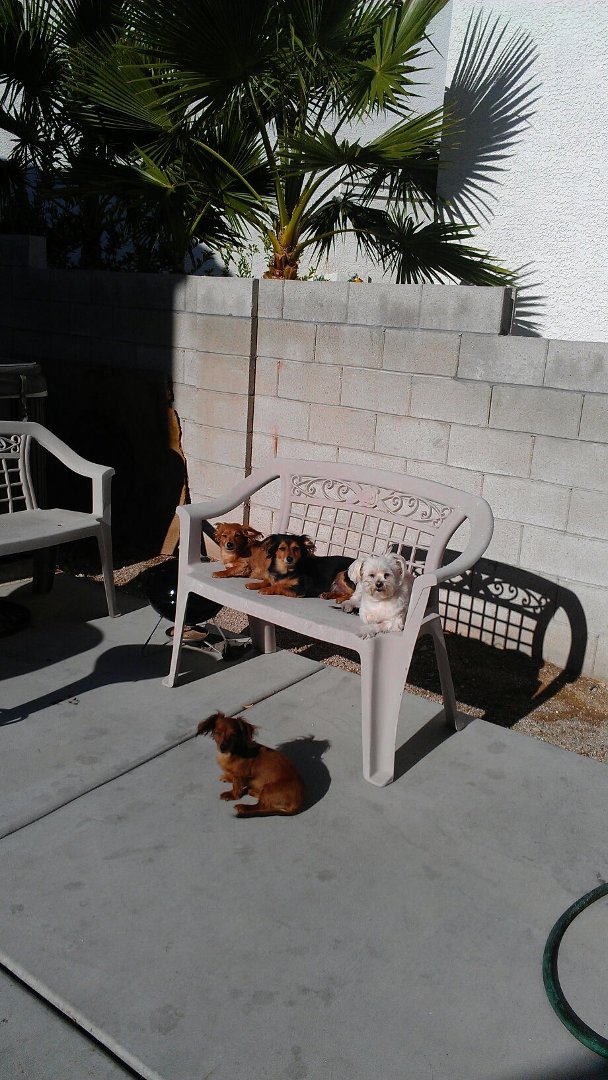 Debra Riffe's album, Mobile Uploads