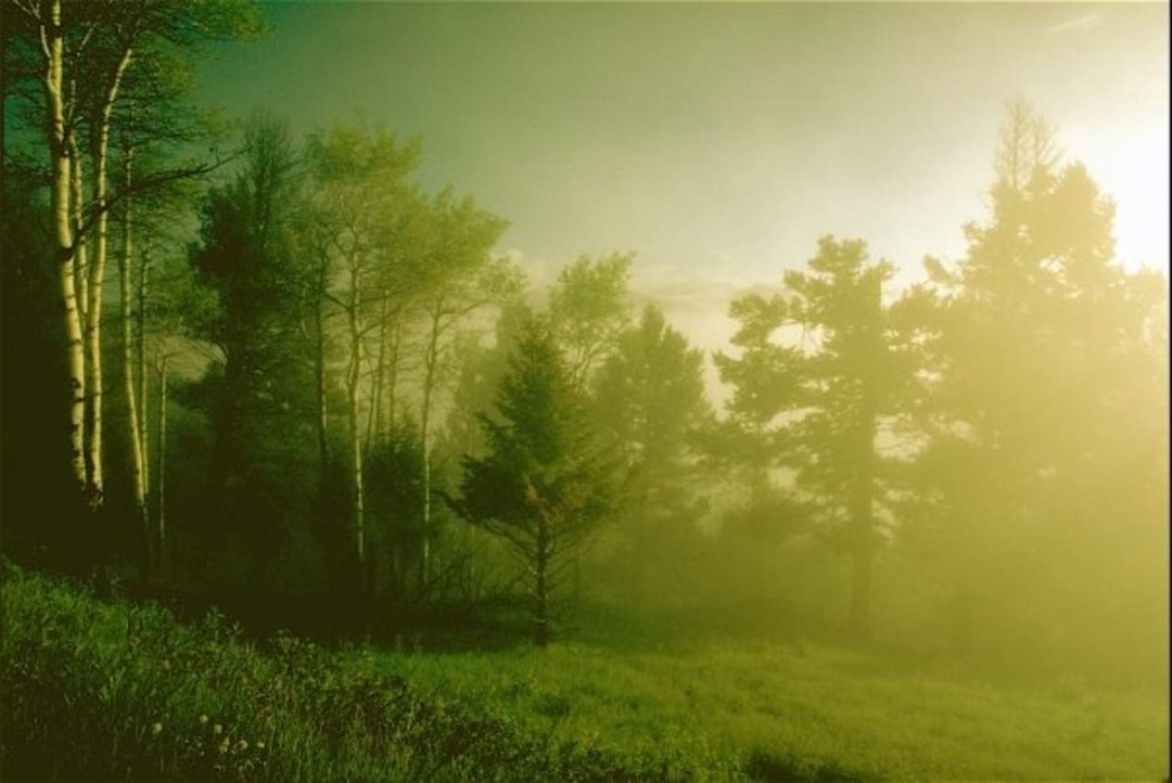 Mark Ferreri's album, Creative artistry #1