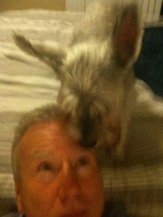 Bruce Mcclellan's album, Mobile Uploads