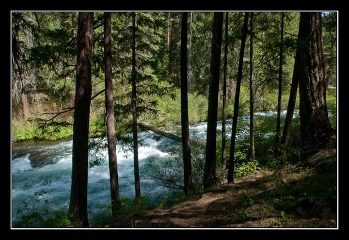 Susan Morgan's album, Cover Photos
