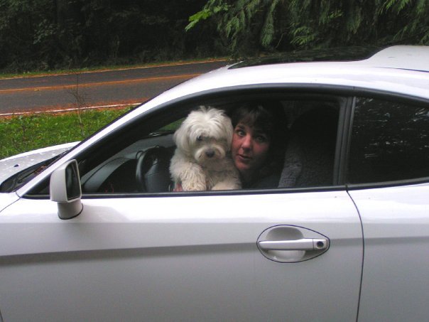 Sarah Steele's album, more photos