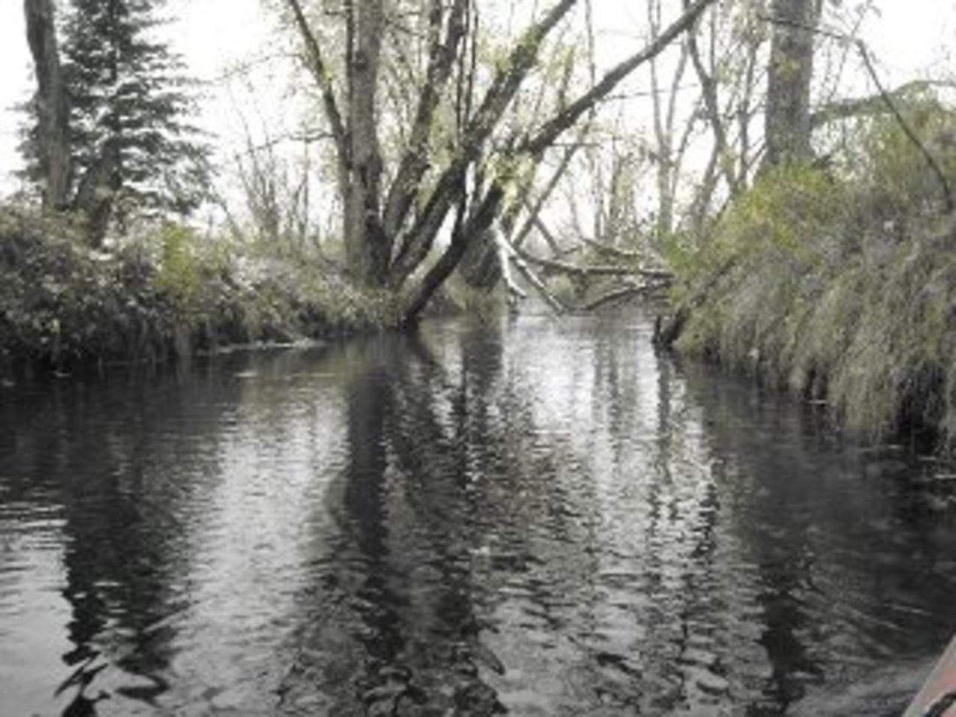 Robin Ellison's album, Raquette river trip