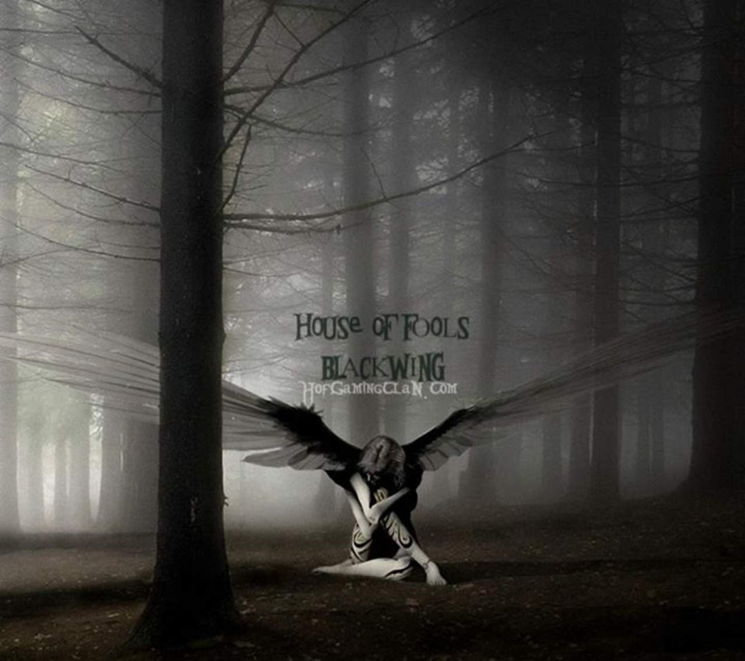 Kevin Noteboom's album, Cover Photos