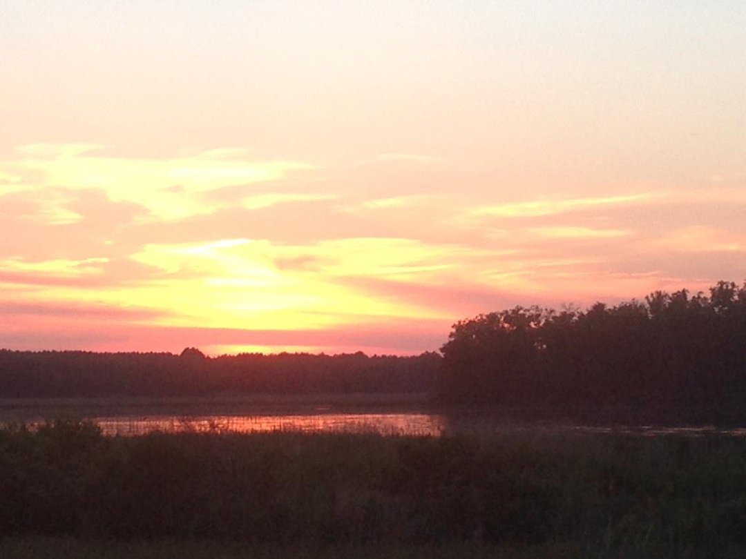 Donna Greenwald's album, iOS Photos