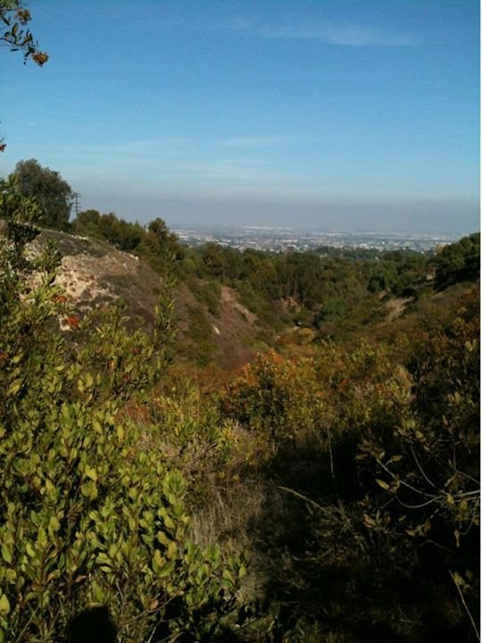 Judy Roberts' album, Mobile Uploads