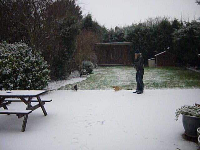 Linda K Berkeley's album, Georgie & Joey's 1st snow