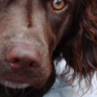 Beth Highsmith's album, Profile Pictures