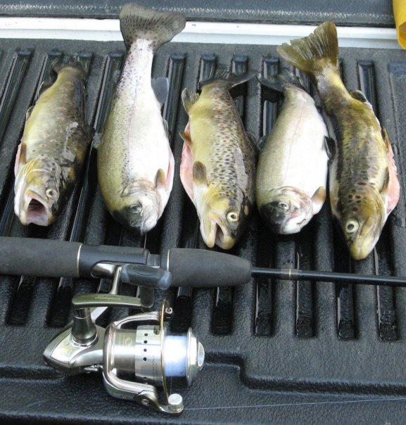 Mike Aubert's album, fishing