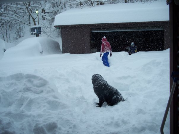 barbara dye's album, big snow