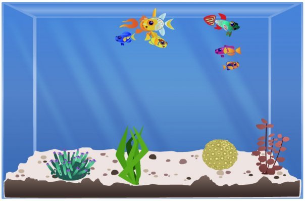 Barbara Malinowski's album, Happy Aquarium photos