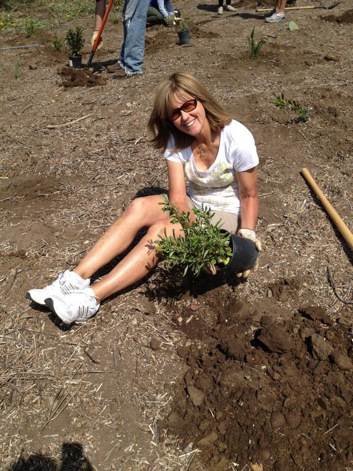 Debra Poggio's album, Mobile Uploads