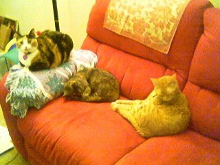 Willard Long's album, Misc Pictures