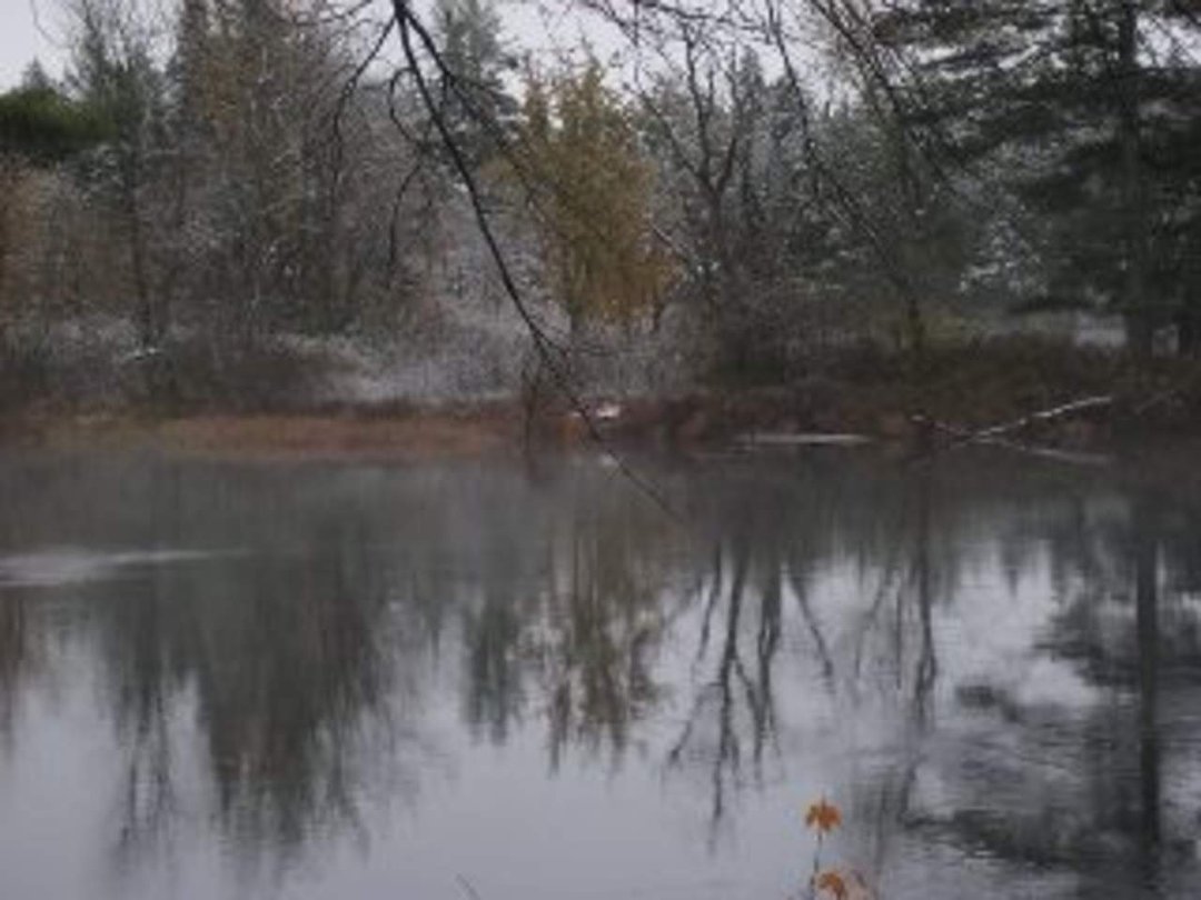 Robin Ellison's album, Raquette river trip