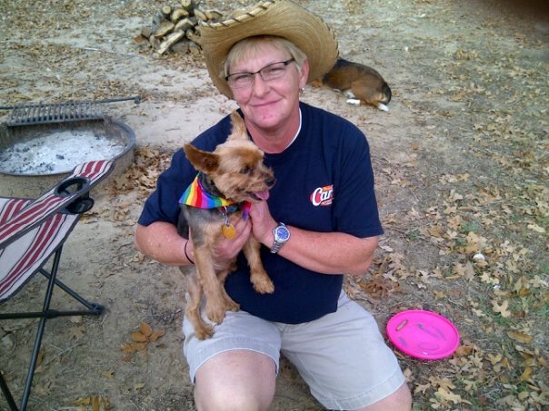 Robin Smith's album, Mobile Uploads